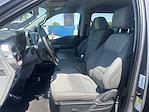 2023 Ford F-150 SuperCrew Cab RWD Pickup for sale #D5432R - photo 10