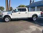 2019 Ford F-250 Crew Cab 4WD Pickup for sale #KEE33818U - photo 3