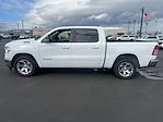 2021 Ram 1500 Crew Cab RWD Pickup for sale #MN686321U - photo 8