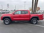 2023 Toyota Tacoma Double Cab RWD Pickup for sale #PM201665U - photo 3