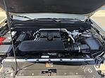 2024 Chevrolet Colorado Crew Cab 4WD Pickup for sale #R1143445 - photo 4