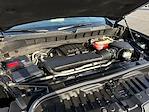 2024 Chevrolet Silverado 1500 Crew Cab 4WD Pickup for sale #RG318810U - photo 25