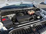 2024 Chevrolet Silverado 1500 Double Cab RWD Pickup for sale #RZ358650U - photo 23