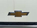New 2025 Chevrolet LCF 3500HG Base Regular Cab Cab Chassis for sale #T211929 - photo 32