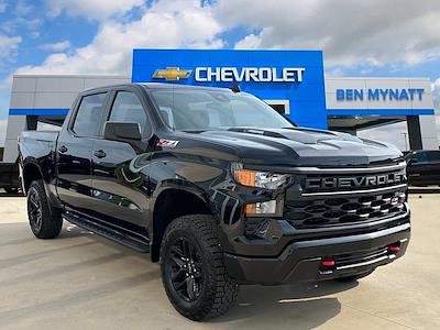 2025 Chevrolet Silverado 1500 Crew Cab 4WD Pickup for sale #T315684 - photo 1