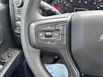 2025 Chevrolet Silverado 1500 Crew Cab 4WD Pickup for sale #2526025 - photo 13
