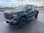 2025 Chevrolet Silverado 1500 Crew Cab 4WD Pickup for sale #2543725 - photo 3