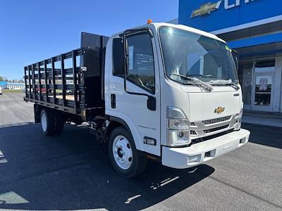 New 2024 Chevrolet LCF 4500HG Regular Cab RWD Rugby for sale #351124 - photo 2