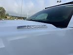 2024 Chevrolet Silverado 5500 Regular Cab DRW 4WD Dejana Truck & Utility Equipment Dump Truck for sale #553024 - photo 4