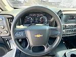 2023 Chevrolet Silverado 6500 Regular Cab DRW 4x4 Cab Chassis for sale #F23950 - photo 10