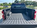2025 Chevrolet Silverado 1500 Crew Cab 4x4 Pickup for sale #292233X - photo 20