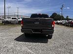2019 Ford F-150 SuperCrew Cab 4x4 Pickup for sale #3K8436 - photo 6