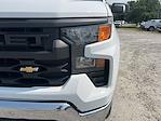 2024 Chevrolet Silverado 1500 Regular Cab 4x4 Pickup for sale #FK7175A - photo 9