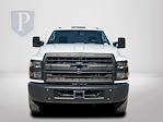 2024 Chevrolet Silverado 5500 Regular Cab DRW 4x2, Cab Chassis for sale #FK76329 - photo 3