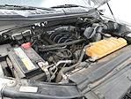 2017 Ford F-150 SuperCrew Cab 4WD Pickup for sale #G26-302A - photo 31
