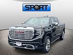 2023 GMC Sierra 1500 Crew Cab 4WD Pickup for sale #PG253825 - photo 1