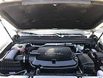 2020 Chevrolet Colorado Crew Cab 2WD Pickup for sale #1123165A - photo 30
