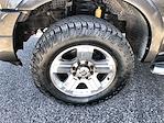 2007 Ford F-250 Crew Cab 4x4 Pickup for sale #D129017A - photo 16