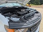 2024 Chevrolet Silverado 1500 Regular Cab RWD Pickup for sale #12432U - photo 25