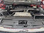 2023 Ford F-150 SuperCrew Cab 4x4 Pickup for sale #B10819 - photo 32