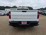 2025 Chevrolet Silverado 1500 Regular Cab RWD Pickup for sale #N25581 - photo 3