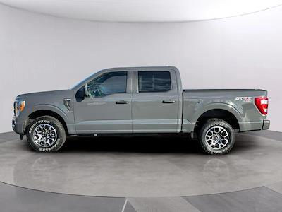 2021 Ford F-150 SuperCrew Cab 4WD Pickup for sale #PXC19363A - photo 2
