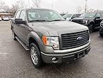2014 Ford F-150 SuperCrew Cab 4WD Pickup for sale #5T5268M - photo 4