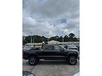 2024 Ford F-250 Crew Cab 4WD Pickup for sale #5T5910A - photo 5