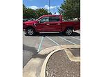 2024 Ford F-150 SuperCrew Cab 4WD Pickup for sale #PE0665 - photo 8