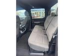 2024 Ford F-150 SuperCrew Cab 4WD Pickup for sale #PE0723A - photo 11