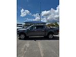 2024 Ford F-150 SuperCrew Cab 4WD Pickup for sale #PE0729 - photo 8