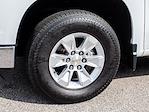 2024 Chevrolet Silverado 1500 Regular Cab RWD Pickup for sale #PR0135 - photo 5