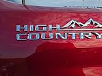 2025 Chevrolet Silverado 3500 Crew Cab 4WD Pickup for sale #P23870 - photo 36