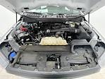 2023 Ford F-150 Regular Cab RWD Pickup for sale #10T2155 - photo 13