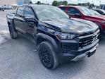 2024 Chevrolet Colorado Crew Cab 4WD Pickup for sale #7T1797 - photo 1