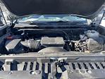 2024 Chevrolet Silverado 2500 Crew Cab 4WD Pickup for sale #9T2051 - photo 15