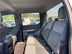 2023 Ford F-150 SuperCrew Cab RWD Pickup for sale #24299 - photo 22