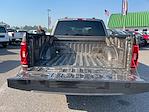 2023 Ford F-150 SuperCrew Cab RWD Pickup for sale #24299 - photo 23