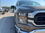 2023 Ford F-150 SuperCrew Cab RWD Pickup for sale #24299 - photo 4