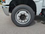 2023 Chevrolet Silverado 5500 Regular Cab DRW 4x2 Knapheide Flatbed Truck for sale #232634 - photo 25