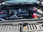 2025 GMC Sierra 1500 Crew Cab 4WD Pickup for sale #B14385 - photo 20
