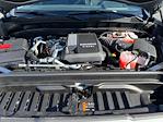 New 2026 GMC Sierra 1500 Elevation Crew Cab 4WD Pickup for sale #B14556 - photo 20