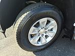 2024 Chevrolet Silverado 1500 Regular Cab RWD Pickup for sale #D7496 - photo 9