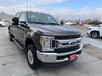 2017 Ford F-250 Crew Cab 4WD Pickup for sale #G44188B - photo 4