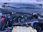 2019 Ford F-150 SuperCrew Cab 4WD Pickup for sale #G44554B - photo 19