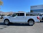 Used 2023 Ford F-150 XL SuperCrew Cab for sale #K87321CV - photo 13