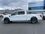 Used 2023 Ford F-150 XL SuperCrew Cab for sale #K87354CV - photo 13