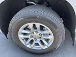 2024 Chevrolet Silverado 1500 Crew Cab 4WD Pickup for sale #T42061B - photo 18