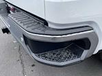 2025 Chevrolet Silverado 1500 Regular Cab 4WD Pickup for sale #T42184 - photo 17