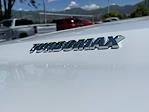 2025 Chevrolet Silverado 1500 Regular Cab 4WD Pickup for sale #T42659 - photo 16